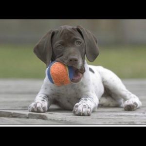 Meet your Posher, Cameron